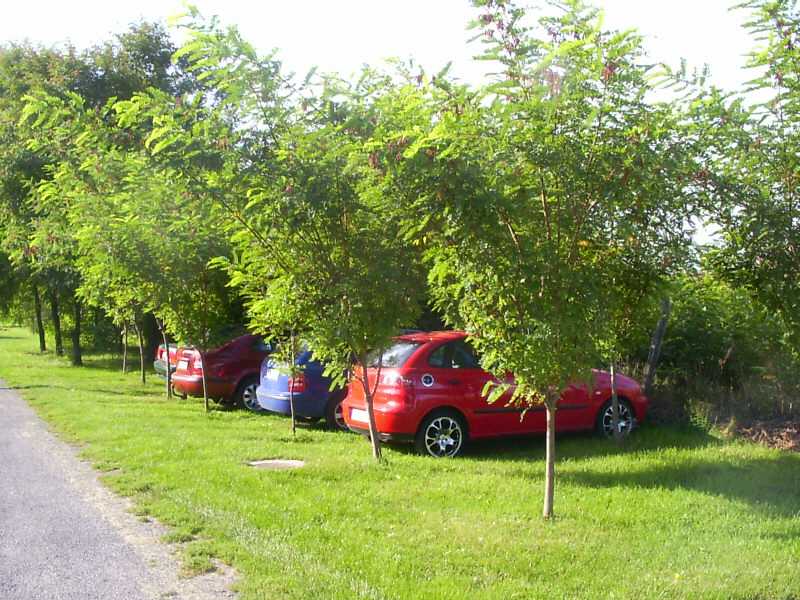 Kostenlose Parkplätze - Unterstellmöglichkeiten.