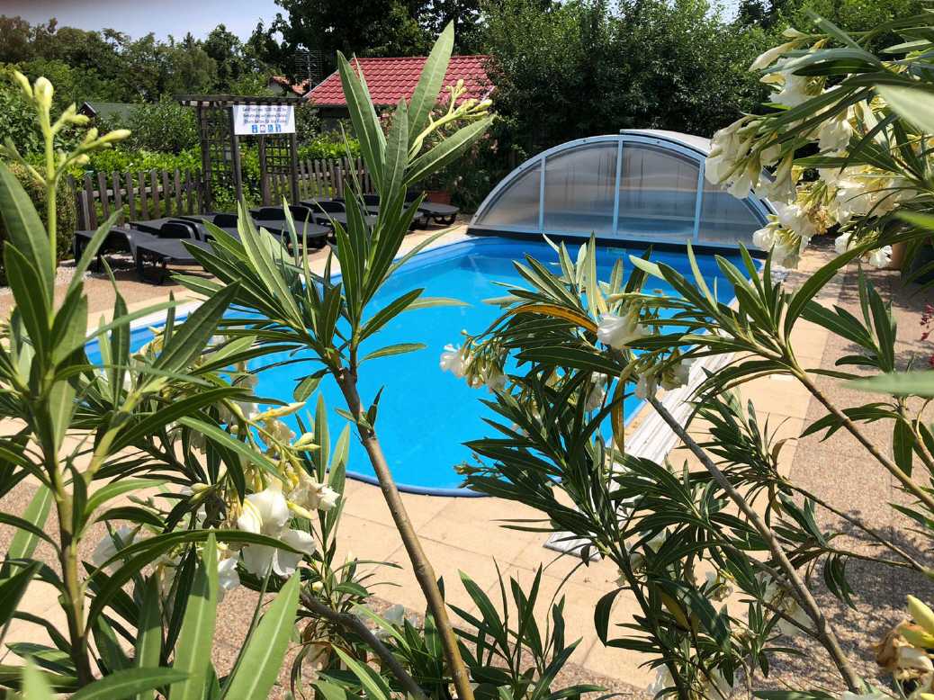 Tauchen Sie ein in unsere Poollandschaft!