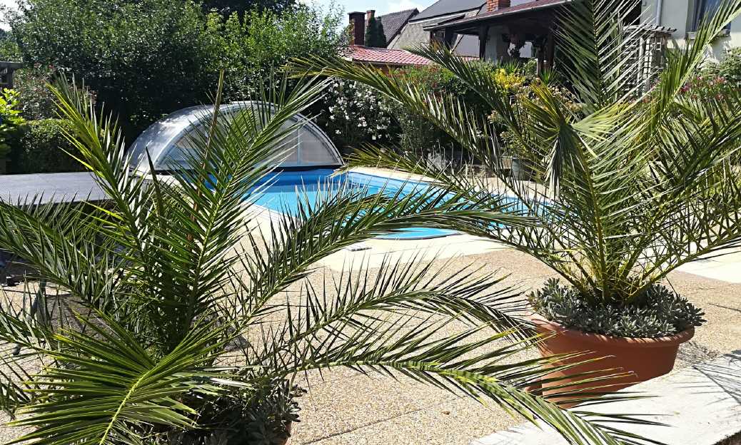 Viel Spaß beim Stöbern!