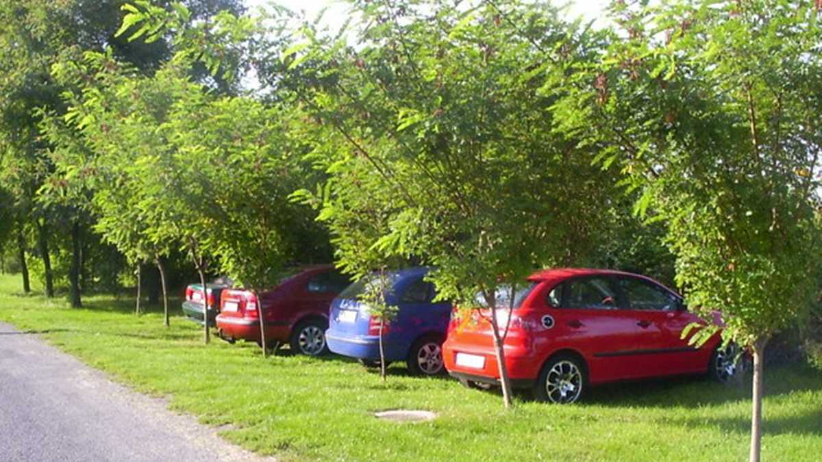 Kostenloses Parken - auch f&uuml;r Ihre Bikes